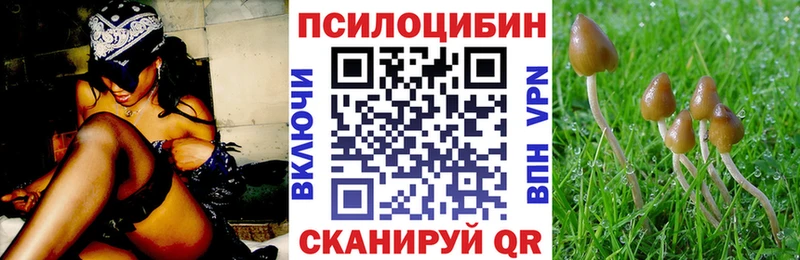что такое наркотик Верея Псилоцибиновые грибы GOLDEN TEACHER